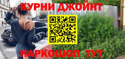 крисы Кунгур