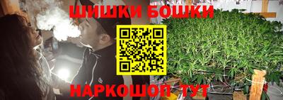 крисы Кунгур