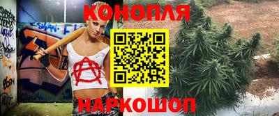крисы Кунгур