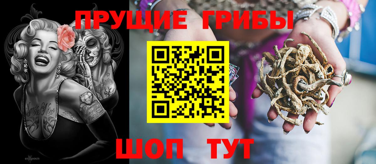 Усть-Илимск  Псилоцибиновые грибы MAGIC MUSHROOMS  Вход с VPN 