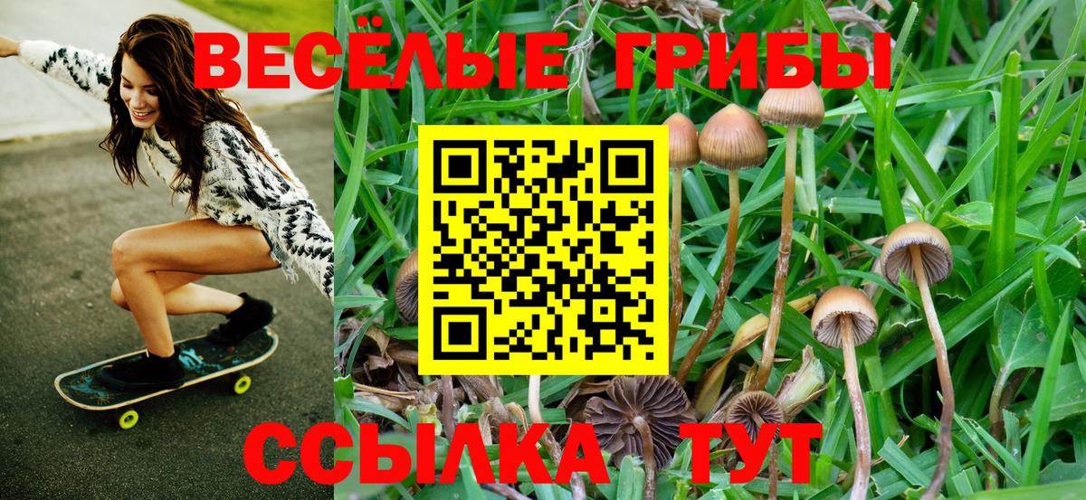 Псилоцибиновые грибы Cubensis Усть-Илимск
